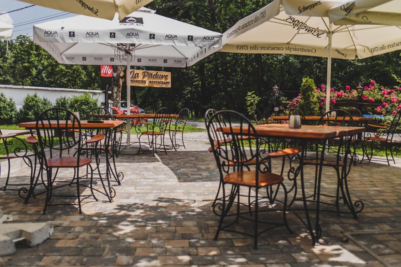 La Padure Pensiune-Restaurant Novaci-Străini Екстериор снимка